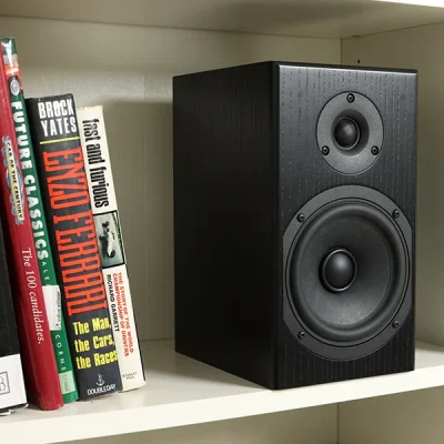 Totem Acoustic LOON Monitor